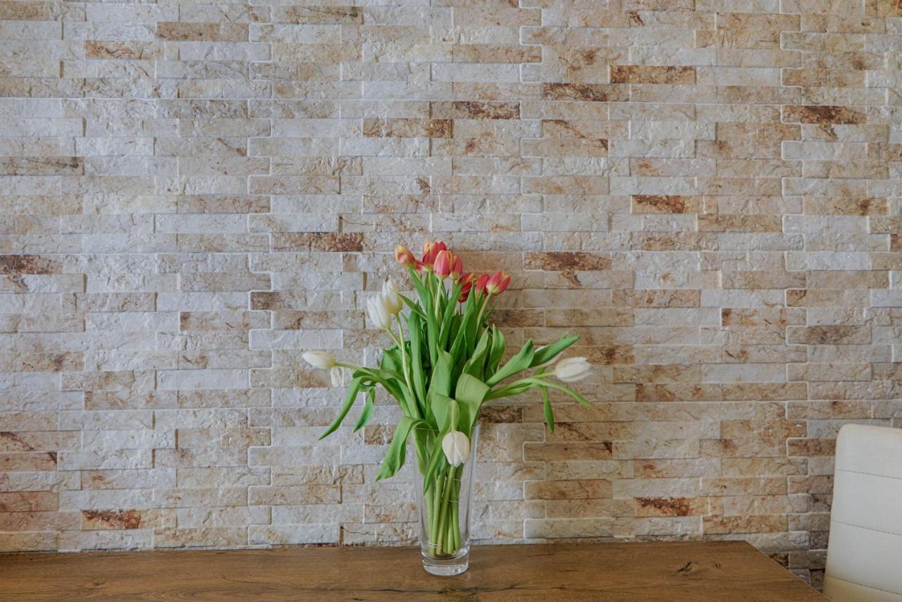 Renas Cosy Apartment コルフ島 エクステリア 写真